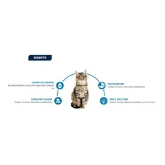 Advance Cat Adult - Суха храна за котки с пилешко и ориз - 15 кг