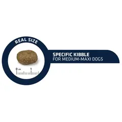 Advance Dog Medium & Maxi Adult Sensitive - Суха храна за кучета от средни и едри породи със сьомга и ориз - 12 кг