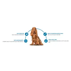 Advance Dog Medium Adult - суха храна за кучета от средни породи с пилешко и ориз - 3 кг