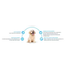Advance Dog Maxi Puppy - суха храна за подрастващи кученца от едри пилешко и ориз - 3 кг