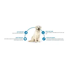 Advance Dog Maxi Adult -  суха храна за кучета от едри породи с пилешко и ориз - 14 кг