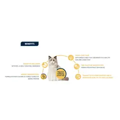 Advance Cat Adult Sterilized Sensitive - Суха храна за добро храносмилане за кастрирани котки със сьомга и ечемик - 10 кг