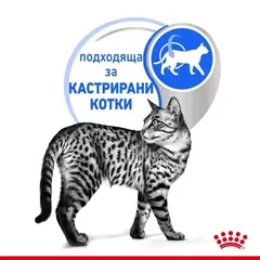 Royal Canin Indoor Sterilised Jelly - Пълноценна мокра храна за кастрирани котки, живеещи на закрито - парченца в желе в пауч 12х85 г