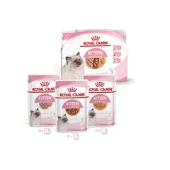 Royal Canin Kitten Multipack - Пълноценна мокра храна за котенца и бременни котки -  4х85 г