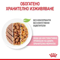 Royal Canin Kitten Multipack - Пълноценна мокра храна за котенца и бременни котки -  4х85 г