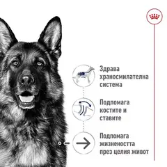 Royal Canin Maxi Ageing 8+ - Пълноценна храна за застаряващи кучета от едри породи над 8 години - 15кг