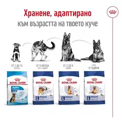 Royal Canin Maxi Ageing 8+ - Пълноценна храна за застаряващи кучета от едри породи над 8 години - 15кг