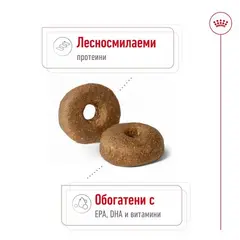 Royal Canin Maxi Ageing 8+ - Пълноценна храна за застаряващи кучета от едри породи над 8 години - 15кг