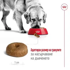 Royal Canin Maxi Ageing 8+ - Пълноценна храна за застаряващи кучета от едри породи над 8 години - 15кг