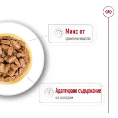 Royal Canin Mini Ageing Pouch - Пълноценна мокра храна в пауч за кучета в напреднала възраст от дребни породи над 12 години - кутия 12 бр x 85 г