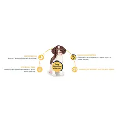 Advance Dog All Breeds Puppy Sensitive  - Суха храна за подрастващи кученца със сьомга и ориз - 3 кг