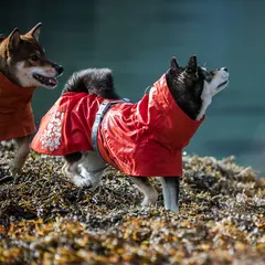 Hurtta Monsoon Coat - дъждобран за куче - цвят шипка