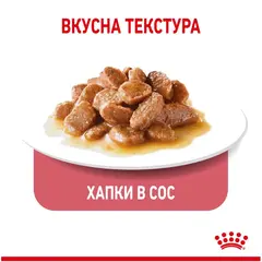 Royal Canin Light Weight Care - Пълноценна мокра храна за котки, склонни към напълняване - парченца в сос в пауч 12х85 г