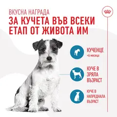 Royal Canin Training Treats - Лакомство за кучета - 110 г