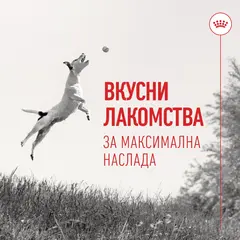 Royal Canin Training Treats - Лакомство за кучета - 110 г