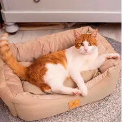 Ferplast Chester 50 Brown - Легло за кучета и котки, кафяво