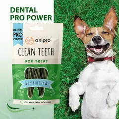 anipro Dental Pro Power * фузили със спирулина, 84 г, зелен чай
