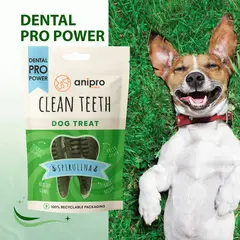 anipro Dental Pro Power - дентална четка със спирулина 8 см, 84 г