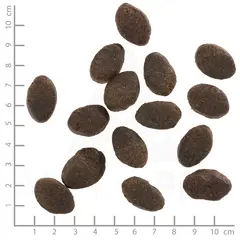 Wolfsblut Wild Pacific Adult - храна за кучета с дива тихоокеанска риба и картофи, 12,5 кг