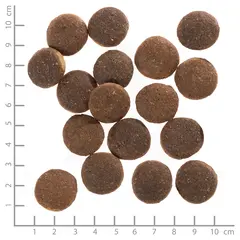 Wolfsblut Red Rock Adult - храна за кучета с кенгуру и тиква, 12.5 кг