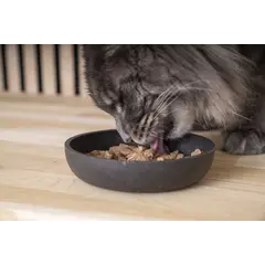 Virbac Cat Digestive Support Pouch - Диетична мокра храна за котки с храносмилателни нарушения, мус в пауч 12х85 г