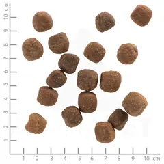 Wolfsblut Wild Duck Adult - суха храна за кучета с дива патица и картофи, 12,5 кг