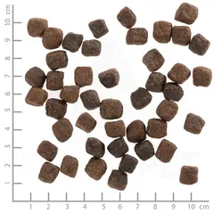 Wolfsblut Deep Glade Small Breed - храна за дребни породи кучета с еленско и сладки картофи, 7.5 кг