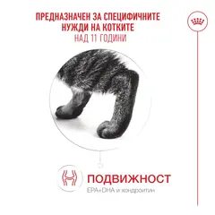 Royal Canin Ageing 11+ - Пълноценна мокра храна за котки над 11 години, хапки в сос - пауч 12х85г