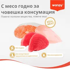 Wanpy Stew KITTEN Salmon and Tuna in gravy - пауч за малки котенца, ароматно стю със сьомга и риба тон, 70 г