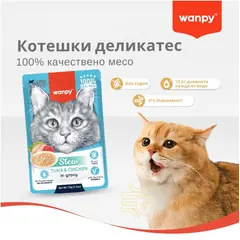 Wanpy Stew KITTEN Salmon and Tuna in gravy - пауч за малки котенца, ароматно стю със сьомга и риба тон, 70 г