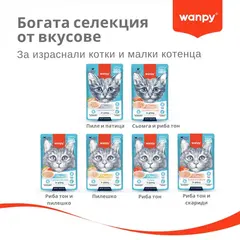 Wanpy Stew Chicken in gravy - пауч за котки, ароматно стю с пилешко месо в сос, 70 г