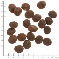 Wolfsblut Black Marsh Adult - суха храна за кучета с воден бивол и сладки картофи, 2 кг