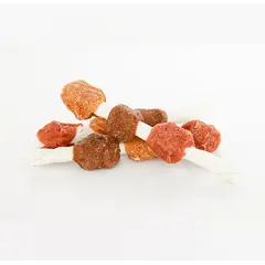 Wanpy Kabobs - лакомства за кучета, шишчета с пилешко, патешко и агнешко, 100 г