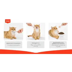 Wanpy Cat salmon - лакомство за котки, лъжичка с кремообразно лакомство със сьомга, 10х16 г