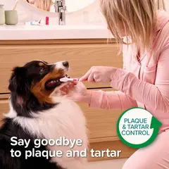 Beaphar Peppermint & Parsley Flavour Toothpaste with Enzymes - Паста за зъби за кучета и котки с вкус на мента и магданоз, 100 г
