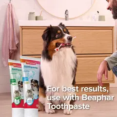 Beaphar Doubled-Ended Bamboo Toothbrush - Бамбукова четка за зъби с две глави, за кучета и котки