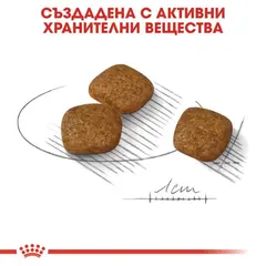 Royal Canin Mini Urinary Care - Пълноценна суха храна за кучета от дребни породи, предразположени към уринарни проблеми, 3 кг