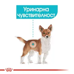 Royal Canin Mini Urinary Care - Пълноценна суха храна за кучета от дребни породи, предразположени към уринарни проблеми, 3 кг