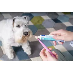 Virbac Enzymatic Toothpaste for Dogs & Cats - Ензимна паста за зъби за кучета и котки, 70 г