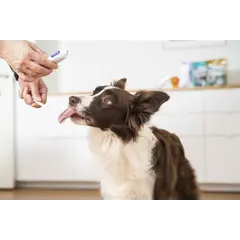 Virbac Enzymatic Toothpaste for Dogs & Cats - Ензимна паста за зъби за кучета и котки, 70 г