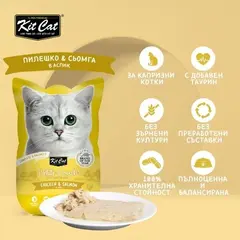 Kit Cat chicken & salmon pouch – Пълноценна мокра храна за котки в зряла възраст, пилешко и сьомга в желе, пауч 70 г
