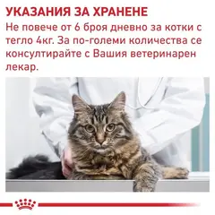 Royal Canin Pill Assist Cat - лакомства за даване на таблетки на котки - 45 г