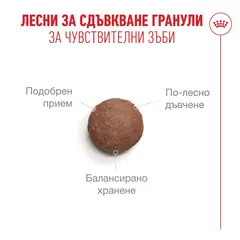 Royal Canin FHN Ageing 11+ - Пълноценна суха храна за котки над 11 години