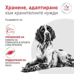 Royal Canin VHN Glycobalance -  Пълноценна диетична храна за кучета за pегулиране нивата на кръвна захар (диабет) -  1,5 кг