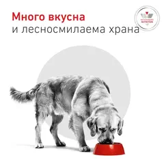 Royal Canin VHN Glycobalance -  Пълноценна диетична храна за кучета за pегулиране нивата на кръвна захар (диабет) -  12 кг