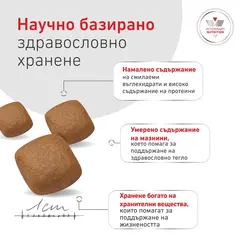 Royal Canin VHN Glycobalance -  Пълноценна диетична храна за кучета за pегулиране нивата на кръвна захар (диабет) -  12 кг