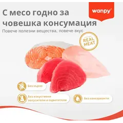 Wanpy Cat Grain Free Salmon - суха храна за котки със сьомга, без зърно, 8 кг