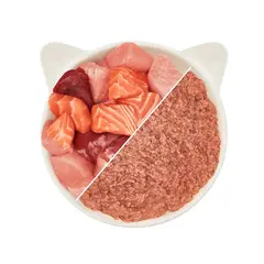 WOW Cat Adult Paté Chicken & Salmon - Пастет за котки с пиле и сьомга - консерва 200 г