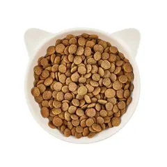 WOW Cat Adult Beef with Salmon oil - Суха храна за котки с говеждо и сьомгово масло - 325 г