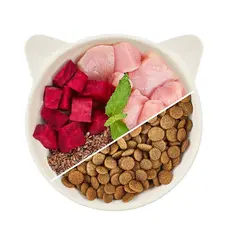 WOW Cat Adult Chicken with Catnip  - Суха храна за котки с пиле - 2 кг